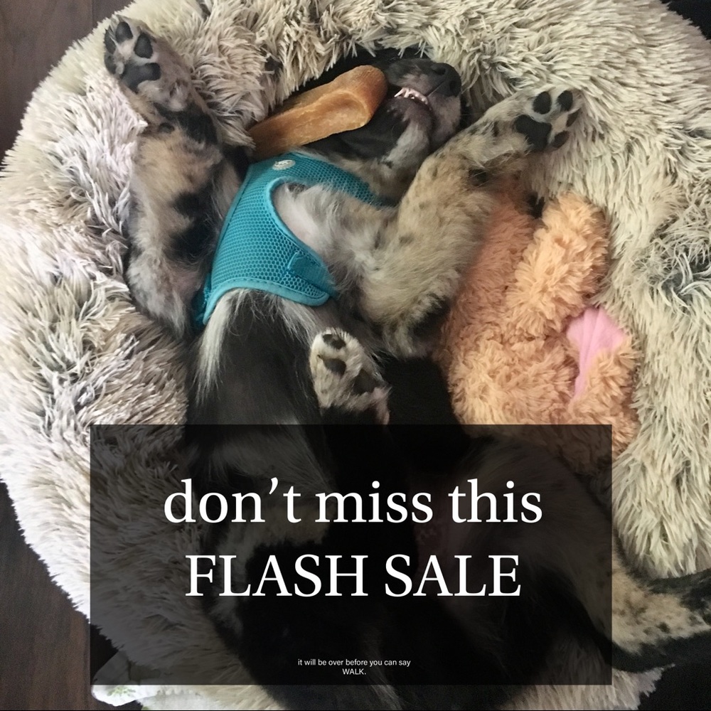 LAST CHANCE!! the prices are a’changin.