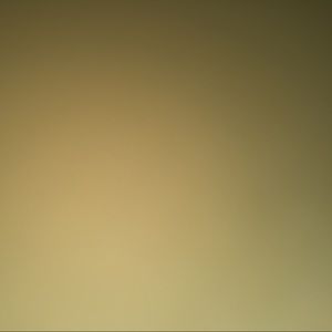 Meet your Posher, Jordyn