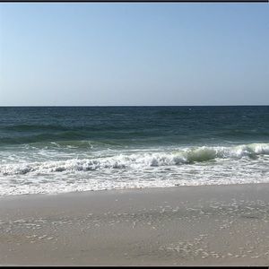 Meet your Posher, Tan