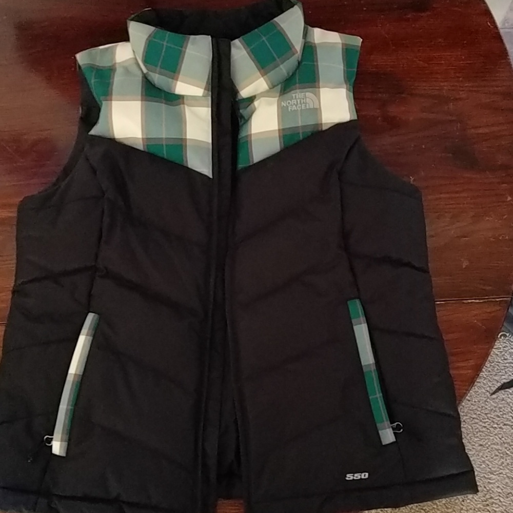 The northface vest