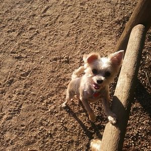 Meet your Posher, Denashia