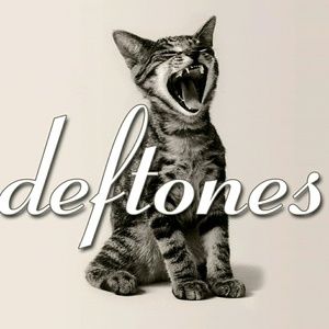 Meet your Posher, Todd