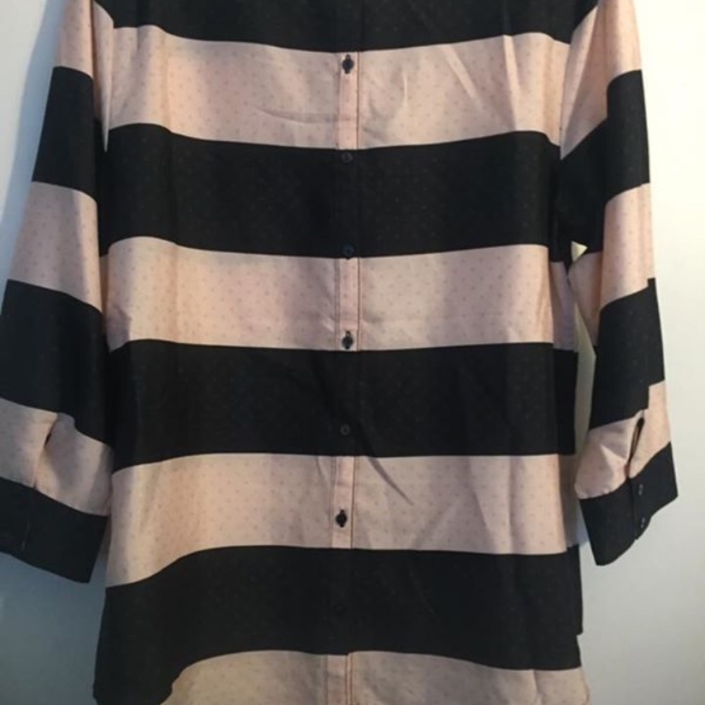 The Limited Blouse