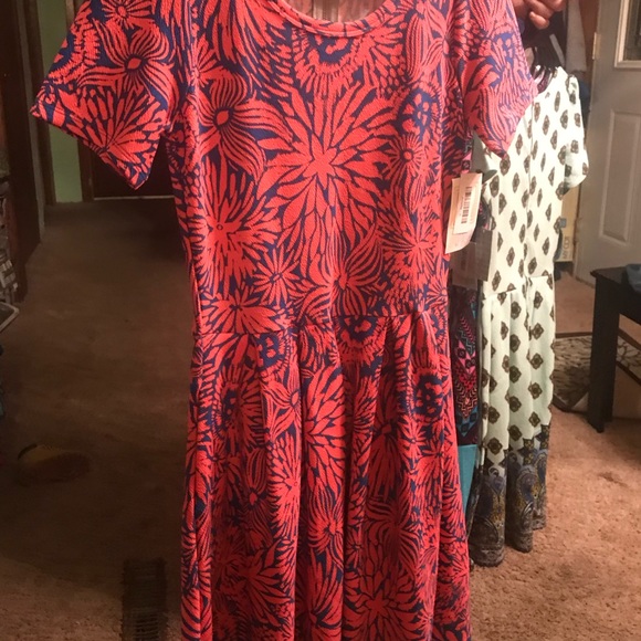 Lula roe all new some with tags and some with out - Picture 3 of 7