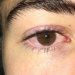 Meet your Posher, Julian