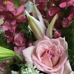 Meet your Posher, Laura