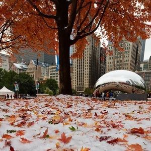 Meet your Posher, Cynthia