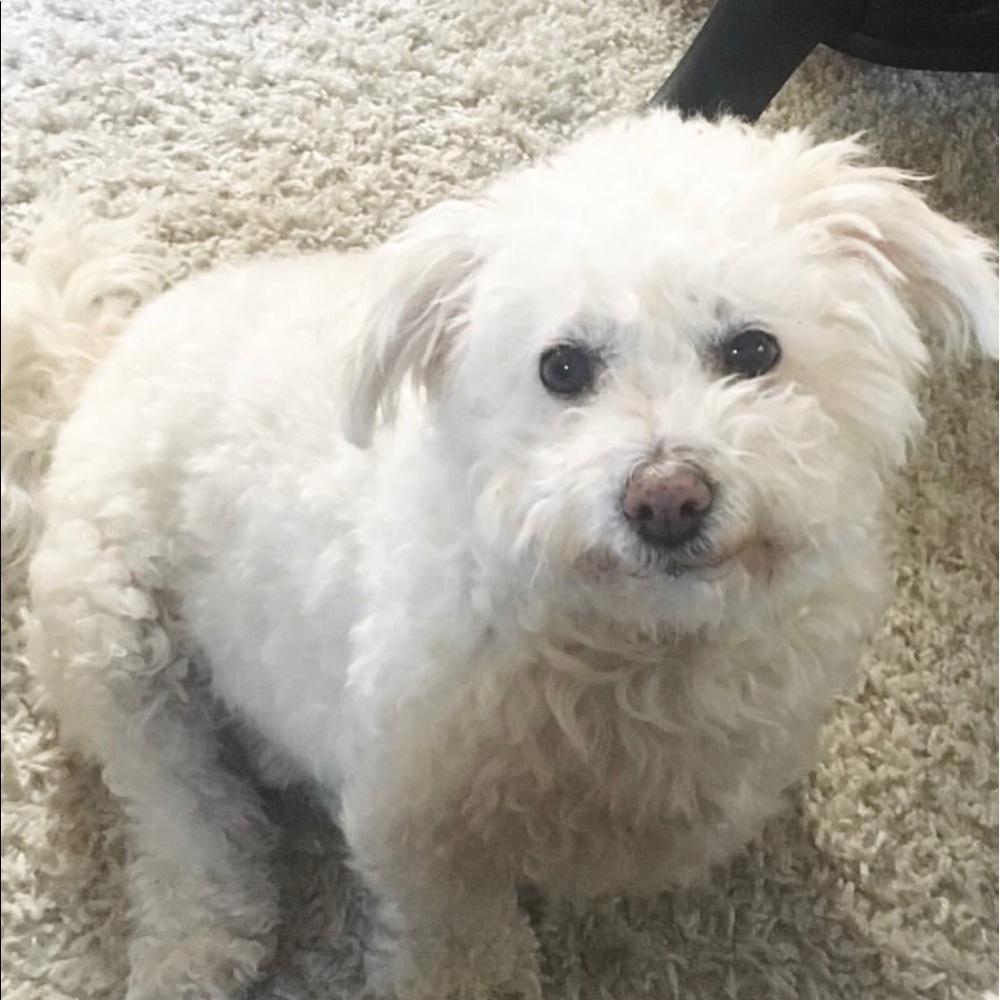 Meet your Posher, Meagan