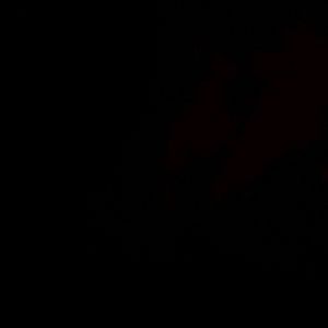 Meet your Posher, Sheri