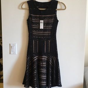 BCBG lace dress NWT