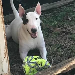 Meet your Posher, Steven