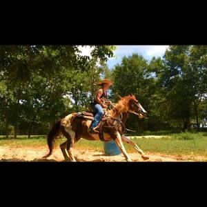 Meet your Posher, Jayme