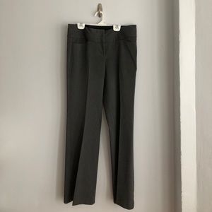 EXPRESS Editor Pant in Dark Grey