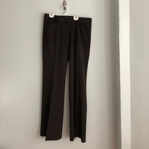 EXPRESS Editor Pant in Dark Brown