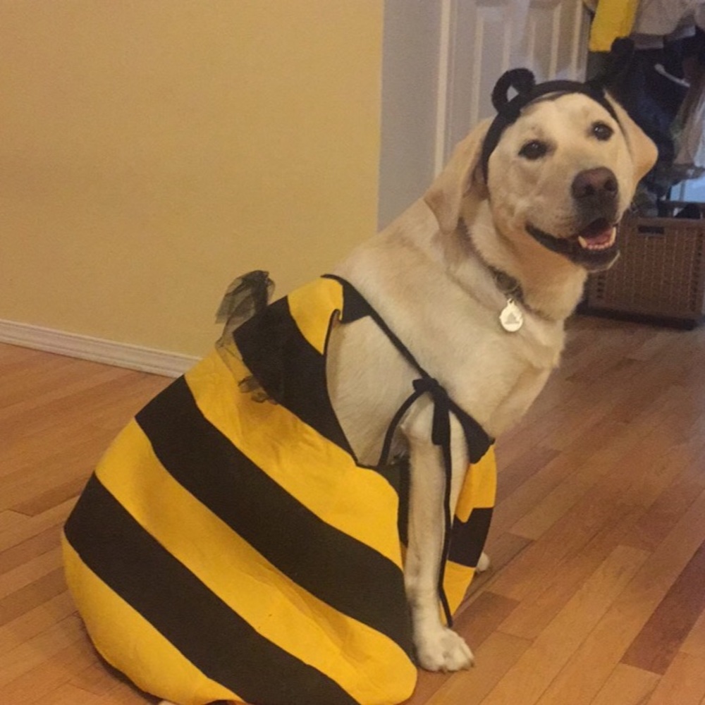 Meet your Posher, Courtney