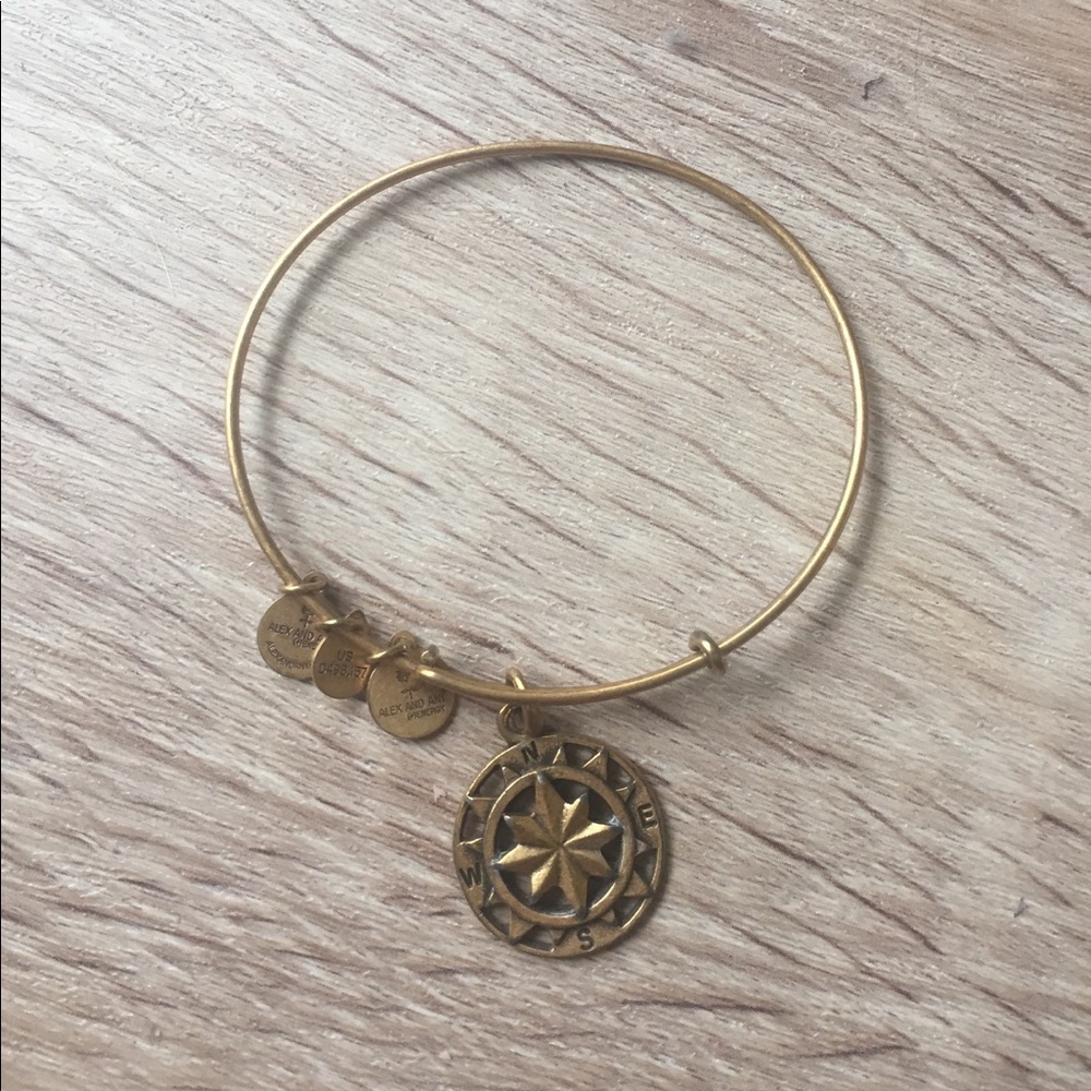 Alex and ani charm