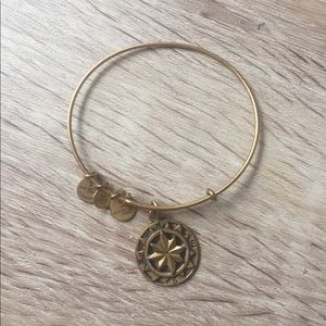 Alex and ani charm