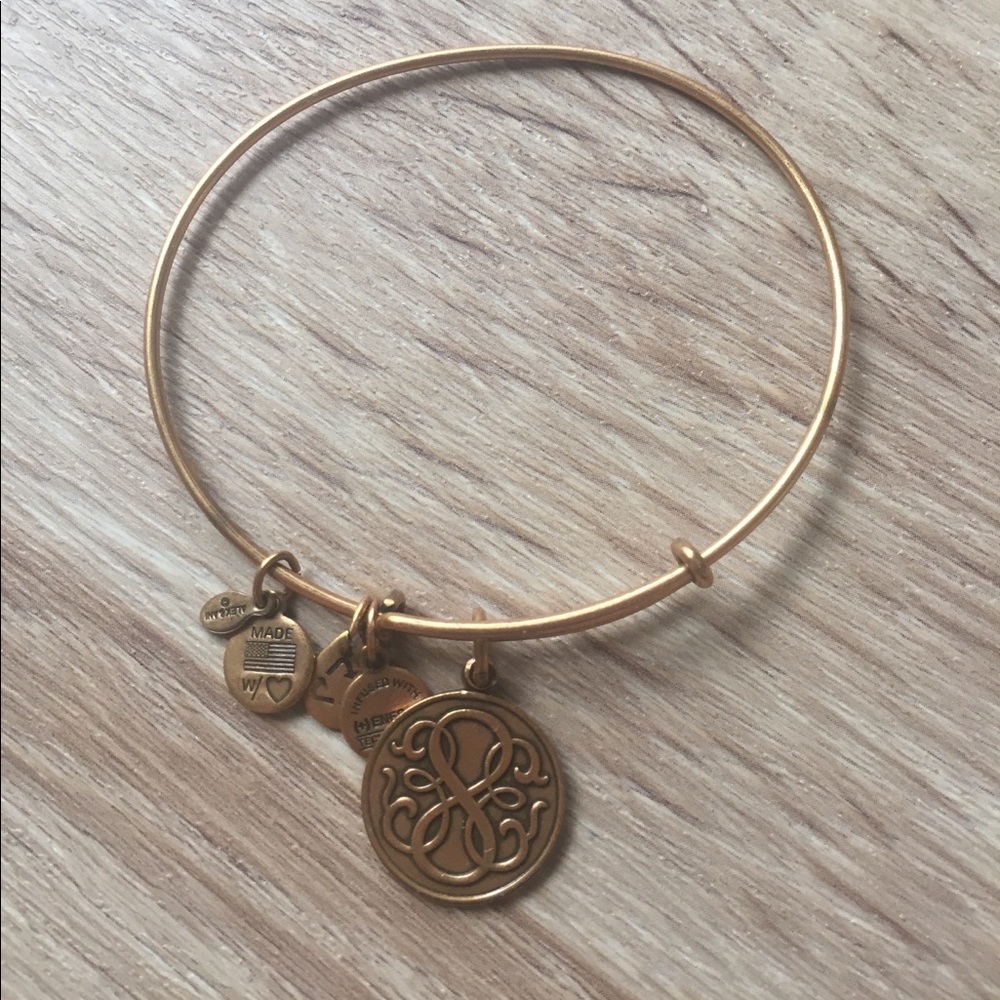 Alex and ani charm
