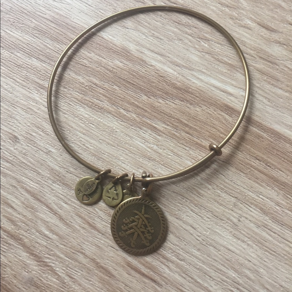 Alex and ani charm