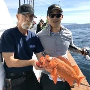 Meet your Posher, Liu