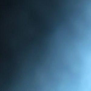 Meet your Posher, Maia