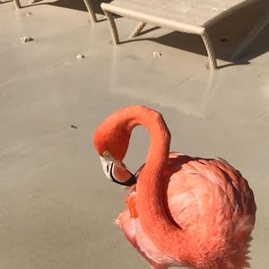 Meet your Posher, Christi