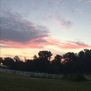 Meet your Posher, Gina