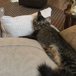 Meet your Posher, Susan