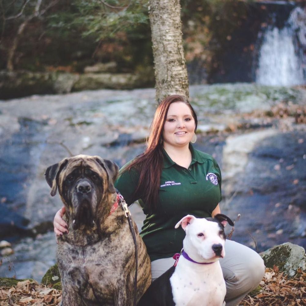 Meet your Posher, Shayla