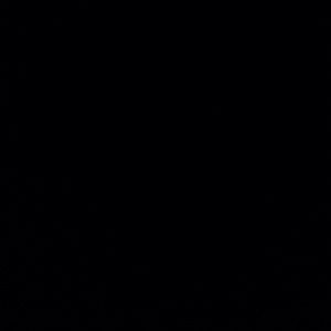 Meet your Posher, Cody