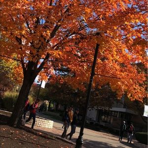 Meet your Posher, Hamad