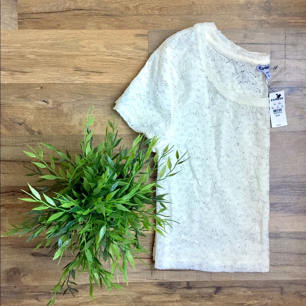 NWT Express Cream Lace Crop Top
