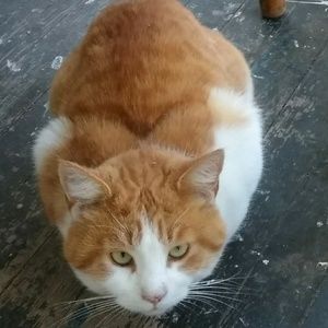 Meet your Posher, Shatimah