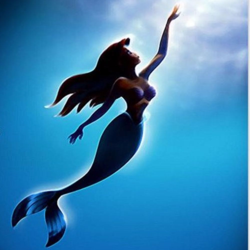 Meet your Posher, Em