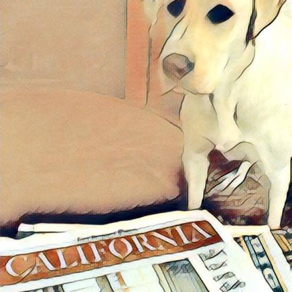 Meet your Posher, Frances