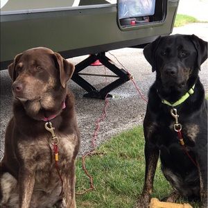 Meet your Posher, Michelle