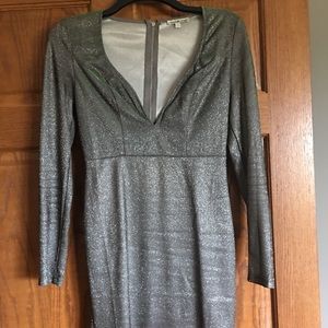 Silver Dress with Purple Undertones