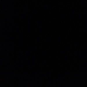 Meet your Posher, Fynn