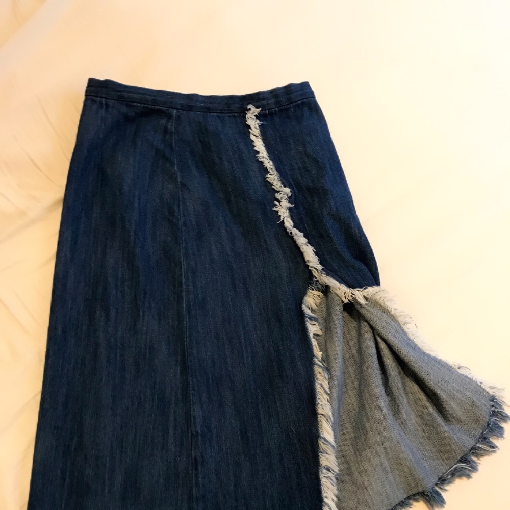 Zara Demi skirt