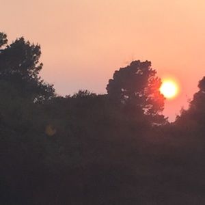 Meet your Posher, Kira