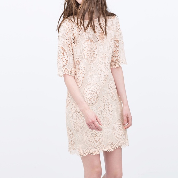Zara Dresses & Skirts - Zara Blush Lace Shift Dress Medium