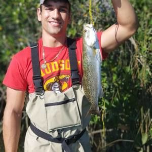 Meet your Posher, Michael