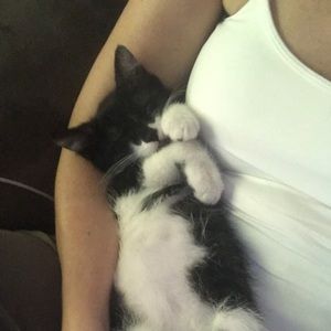 Meet your Posher, Kamie