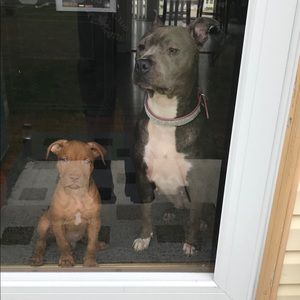 Meet your Posher, Marques