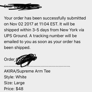 Supreme x Akira Arm tee