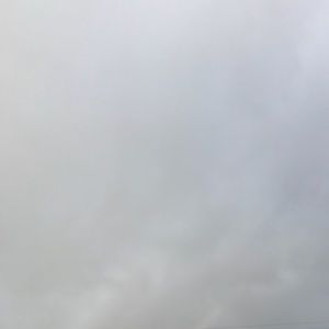 Meet your Posher, Destiny