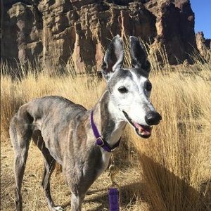 Meet your Posher, Dave