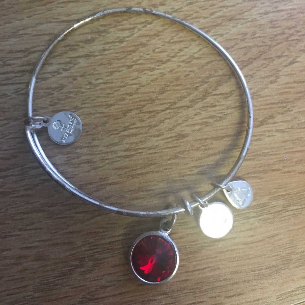 Alex and Ani January birth stone bracelet!