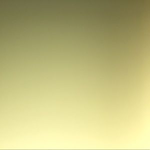 Meet your Posher, Zach