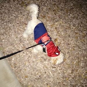 Meet your Posher, Carlos